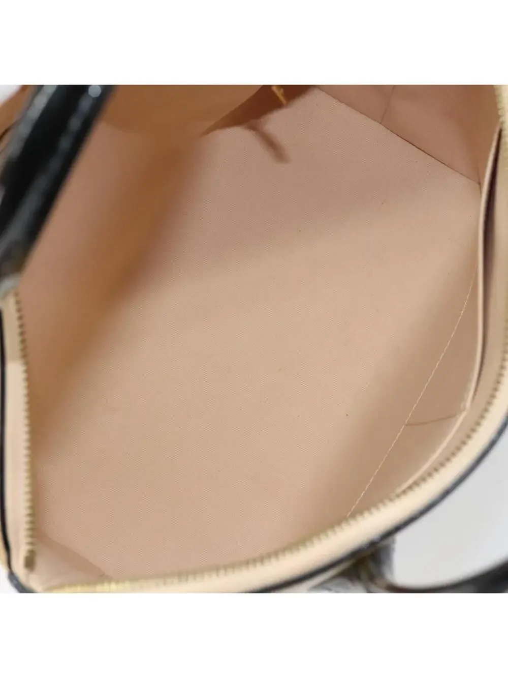 Louis Vuitton introducing louis